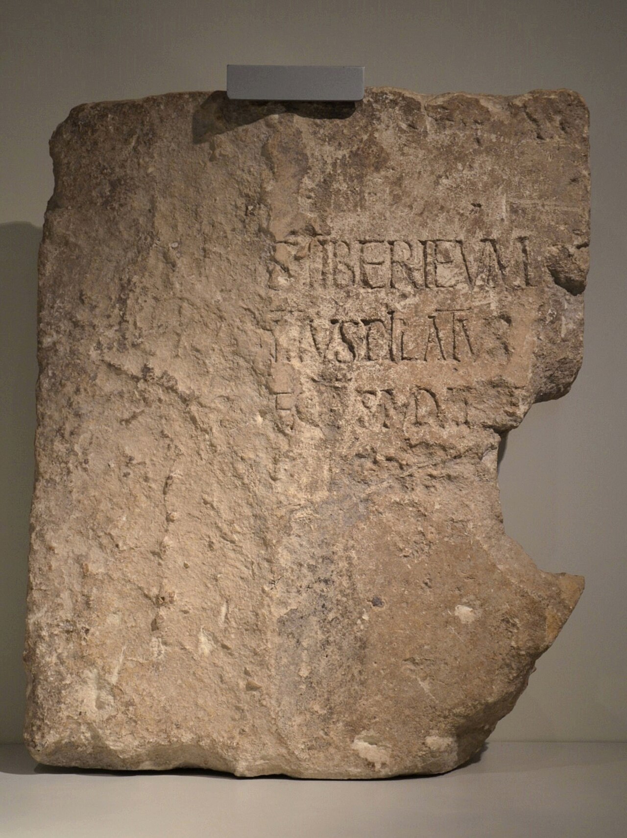 The Pilate Stone at the Israel Museum — a worn limestone block with three partial lines of large Latin letters, including "TIVS PILATVS".
