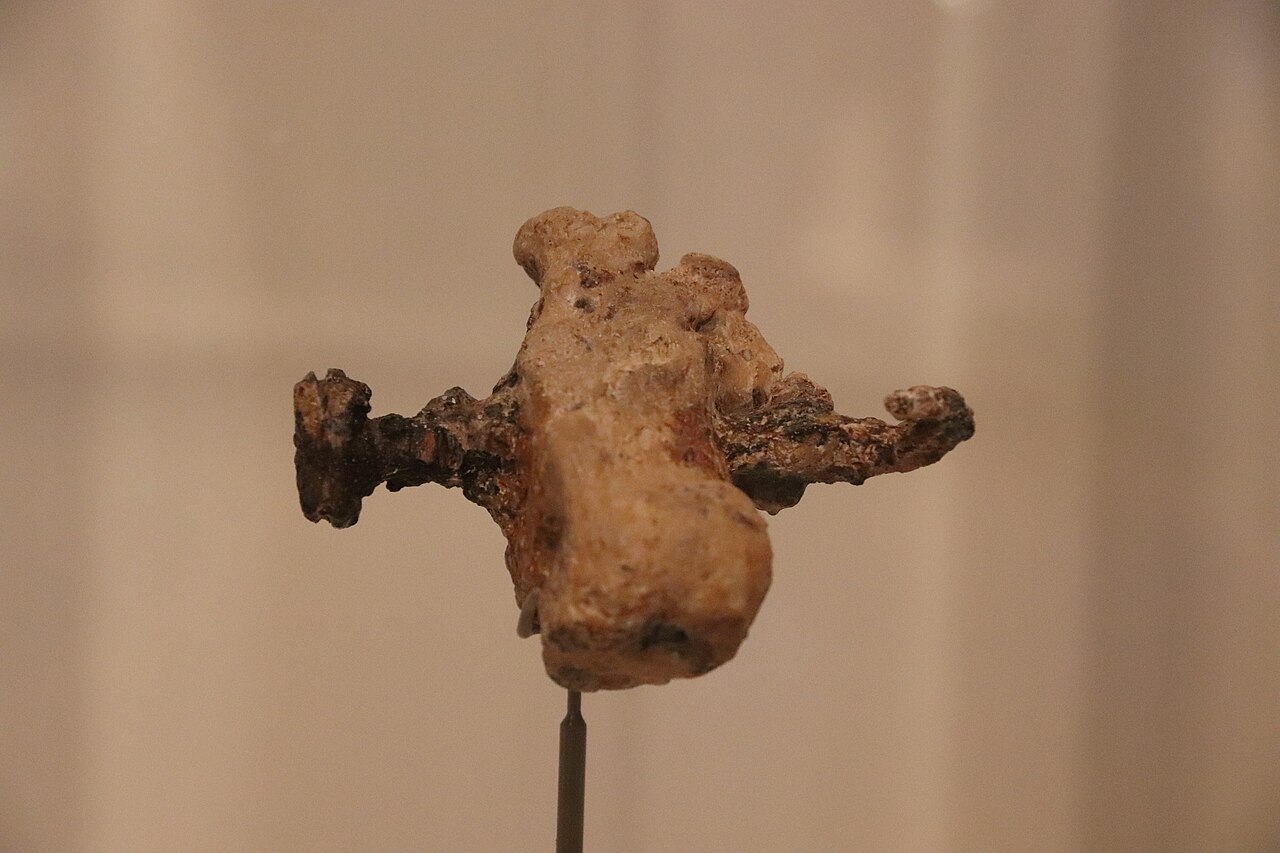 The Israel Museum's display replica of Yehohanan's heel bone — a weathered heel bone pierced side-to-side by a corroded iron nail with a bent tip.
