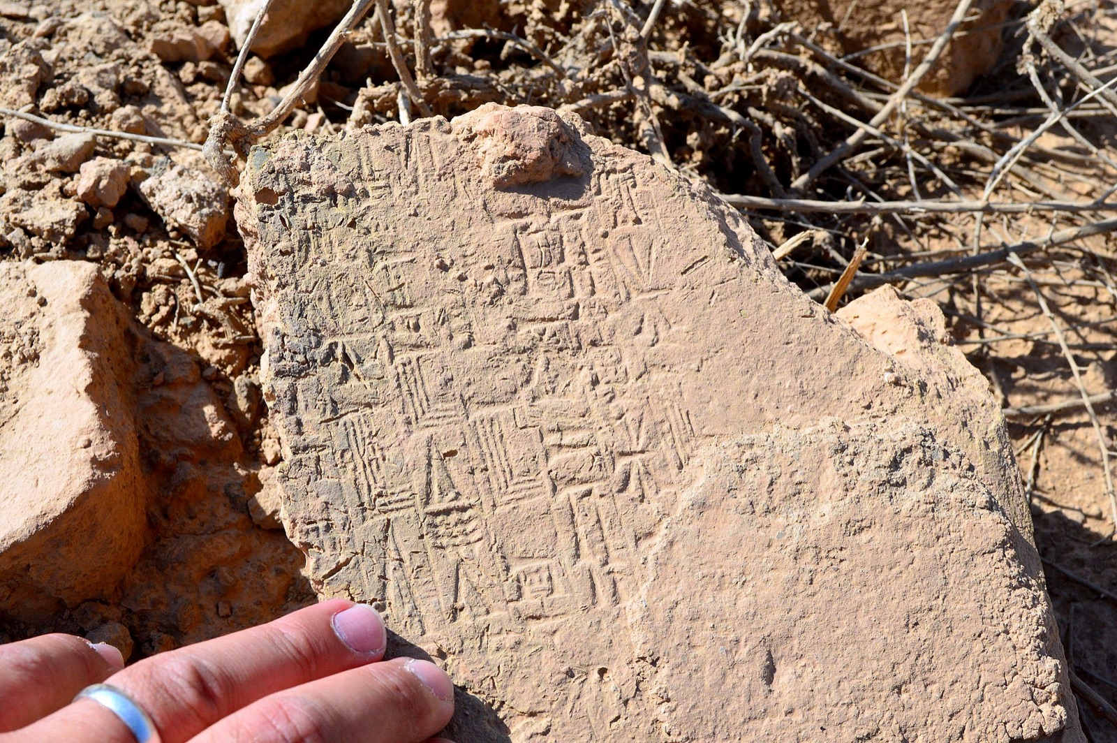A stamped mud brick of Nebuchadnezzar II lying among the ruins of Babylon, its rectangular stamp of Akkadian cuneiform still crisp in the baked clay.
