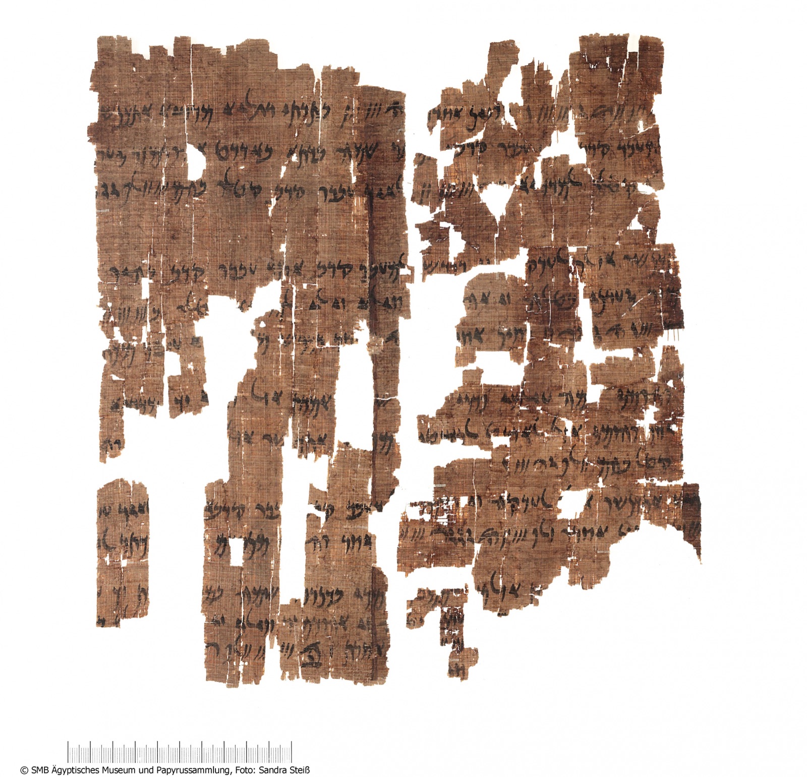 Fragments of the Behistun papyrus (P. Berlin 13447) — columns of Aramaic script on darkened papyrus, mounted between glass.
