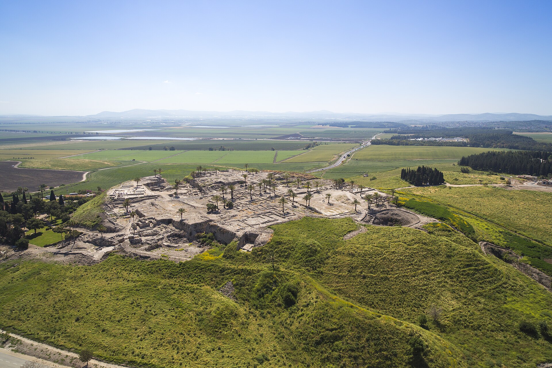 Aerial view of Tel Megiddo, a broad flat-topped mound of excavated ruins dotted with palm trees, rising above the green fields of the Jezreel Valley.
