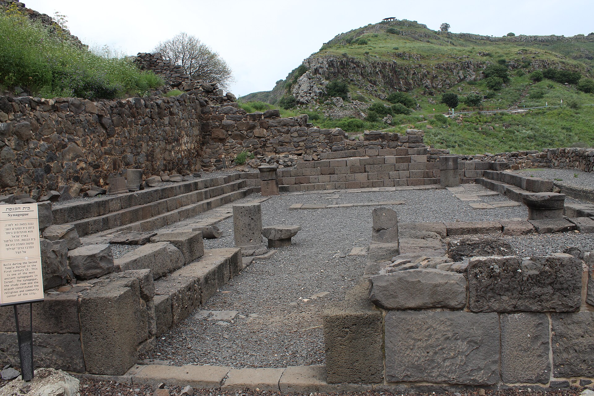 The excavated basalt synagogue of Gamla — a rectangular hall with stepped benches around a gravel-covered floor and column stumps — with the steep green ridge of the Golan rising behind it.
